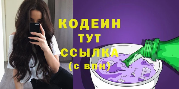 мдпв Инсар