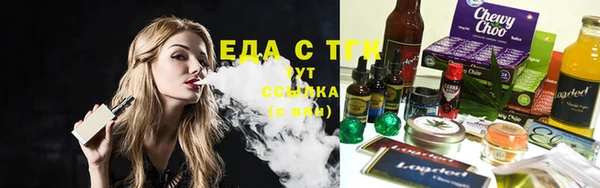 мдпв Инсар
