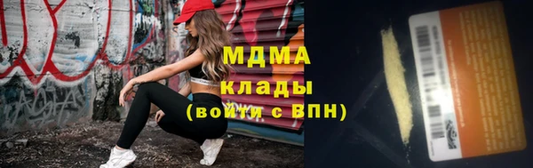 мдпв Инсар
