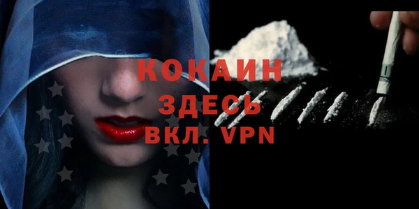 мдпв Инсар