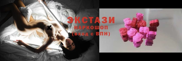 мдпв Инсар