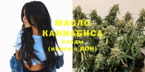 мдпв Инсар