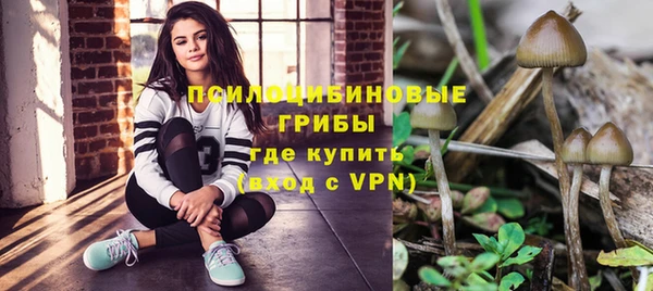 мдпв Инсар