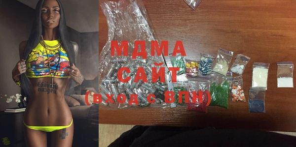мдпв Инсар