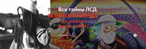 хмурый Каменногорск