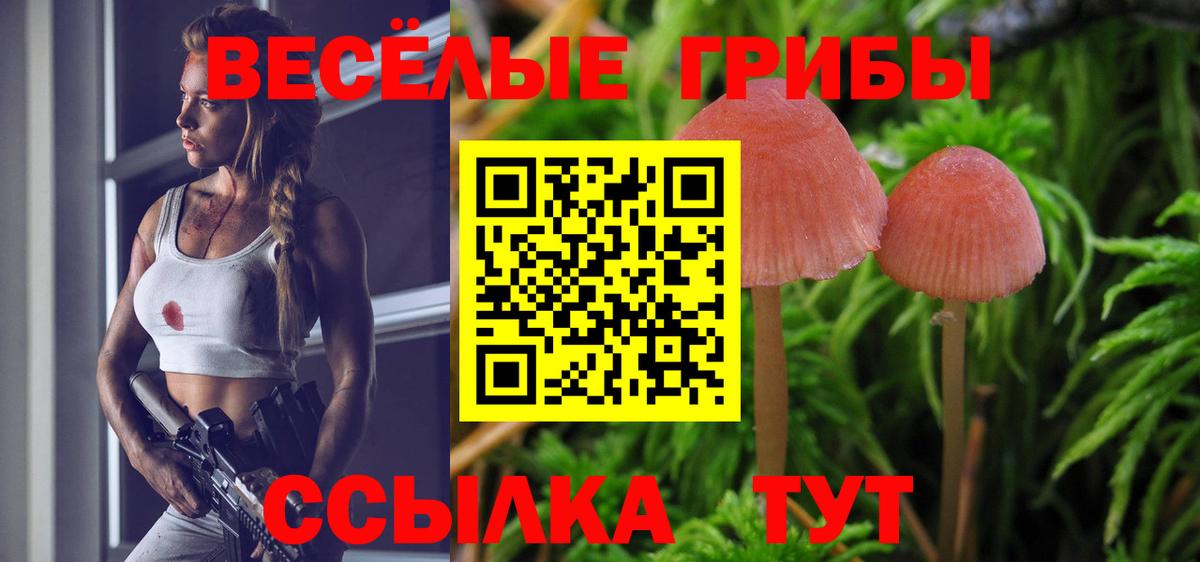 Псилоцибиновые грибы Psilocybe  Галлюциногенные грибы Magic Shrooms  Вход с VPN  Обь 